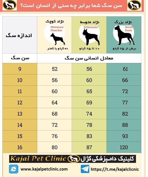 سن سگ ها در مقایسه با انسان 2.jpg