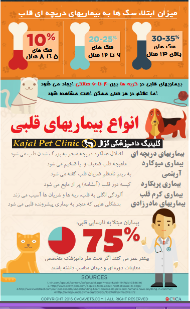 نشانه های بیماری های قلبی سگ و گربه 2-1.png