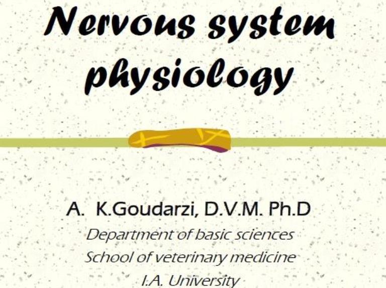 nervous sys physiology