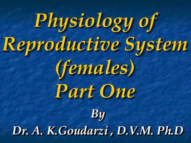 female rep sys physiology part one