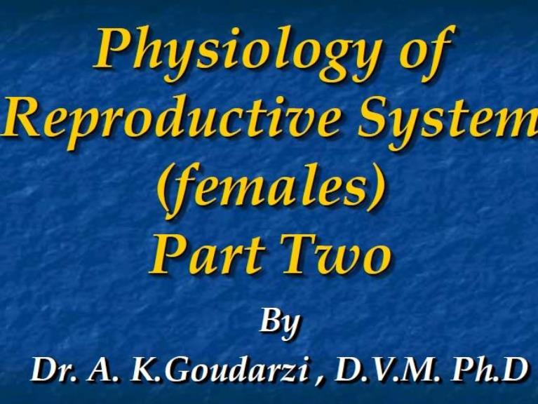  female rep sys physiology part two