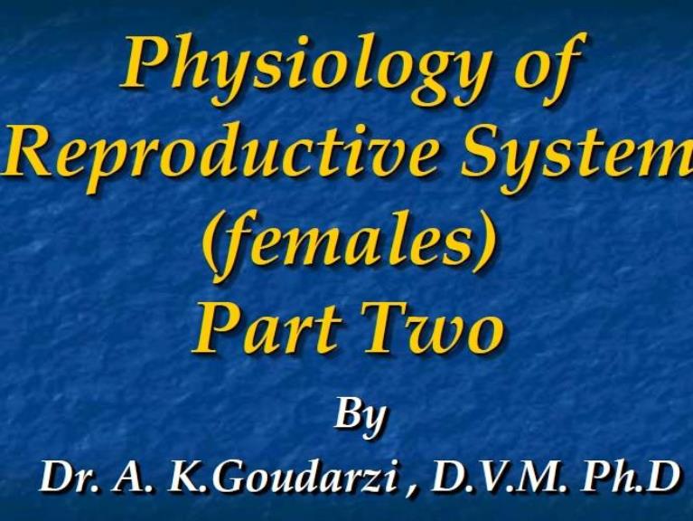 female rep sys physiology part two