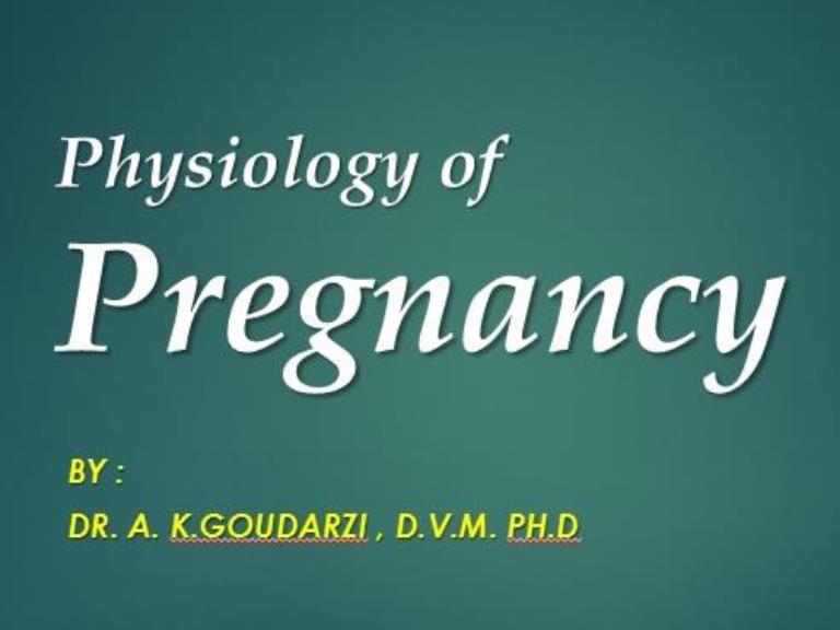 physiology of pregnancy