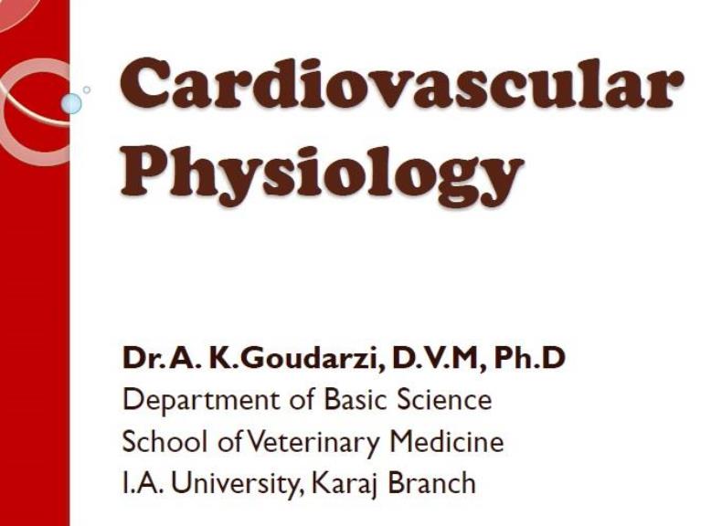 cardiovascular physiology