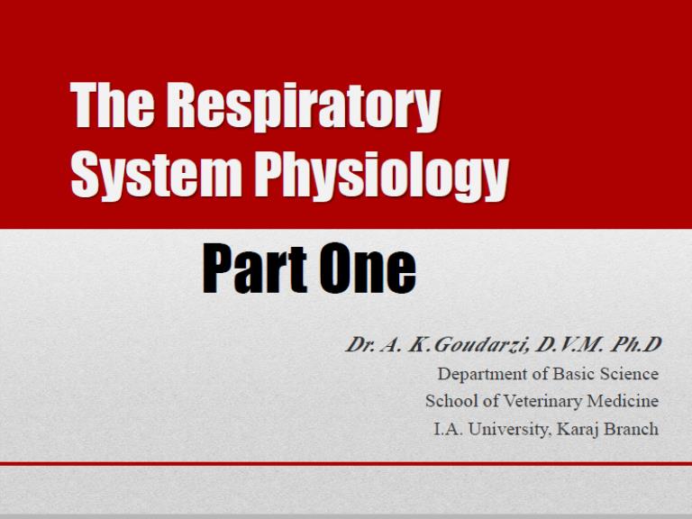 respiratory sys phys part one