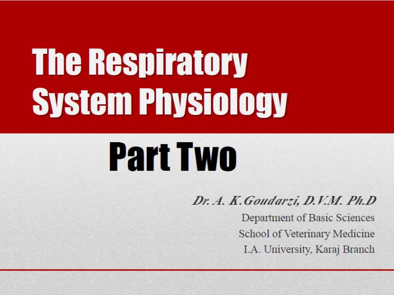 respiratory sys phys part two