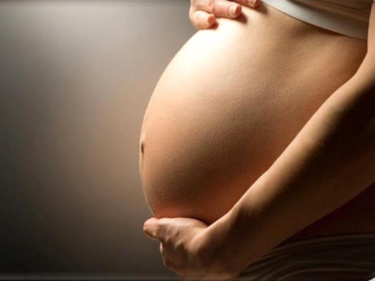 human reproduction physiology