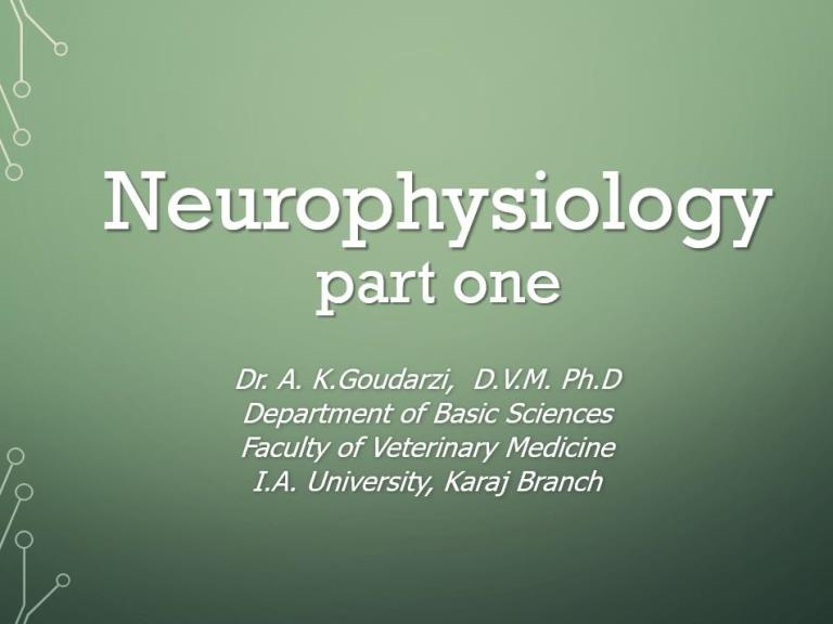 neurophysiology part one
