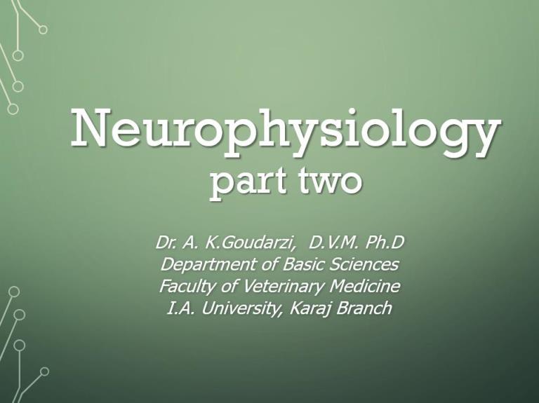 neurophysiology part two