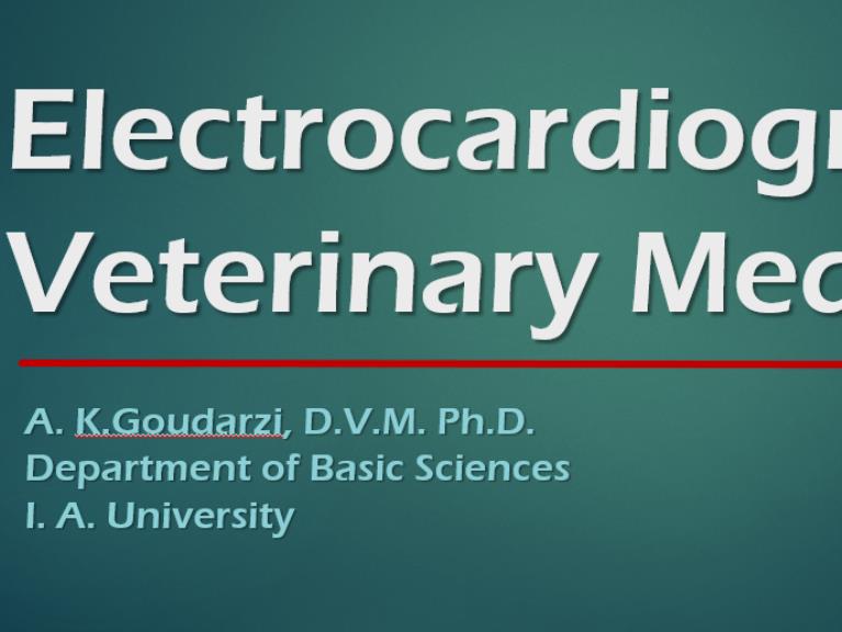Electrocardiography in veterinary medicine