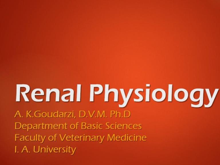 Renal Physiology