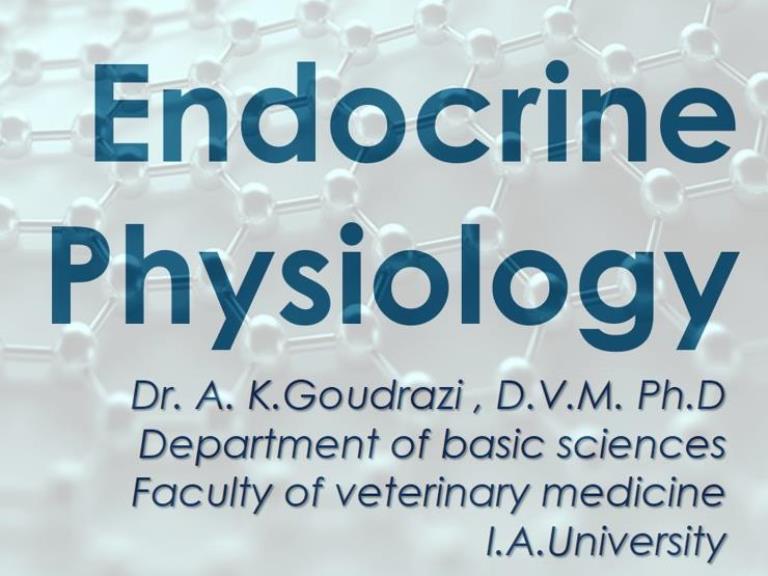 Endocrine physiology